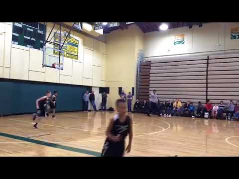 YBA Elite 43 Team Fly (Lake) 25 - Adidas Presidents' Day Tournament of Champions