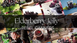 Making low sugar elderberry jelly