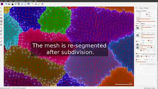 Image processing on surfaces with MorphoGraphX