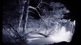 Who do you love by Robin Thrush Jr.