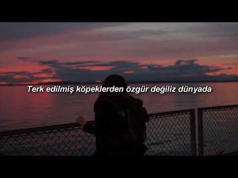 Hiç Işık Yok Şarkı Sözleri ❤️ – No.1 Songs Lyrics In Turkish