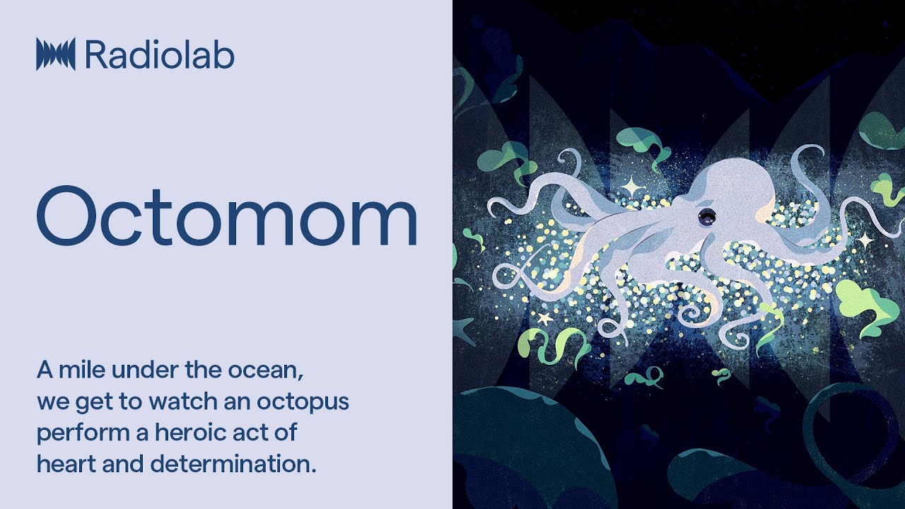Octomom | Radiolab Podcast