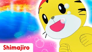 What color is the water? 🌊 Which color do you like more? | Kindergarten special | Shimajiro