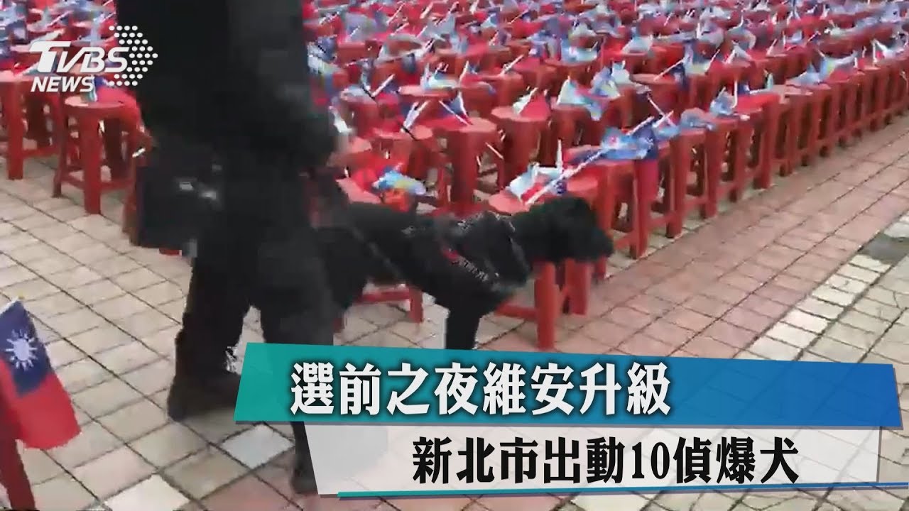 選前之夜維安升級 新北市出動10偵爆犬