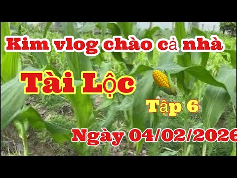 Visiting the Lucky Corn Farm at noon, episode 7