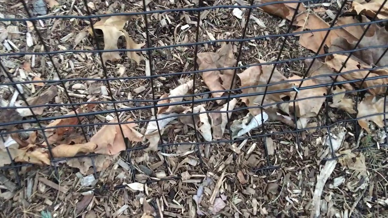 Deer Fencing Explained