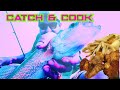 Video Thumbnail for Walleye Catch & Cook #Walleye #catchandcook #Saskatchewan