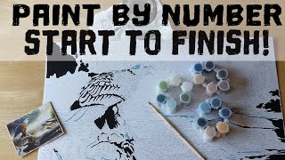 Paint & Chat! Paint By Number- Eagle Hunter by Dimensions Paint Works.