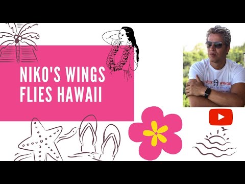 Niko's Wings fly Maui