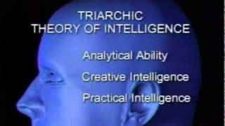 intelligence triarchic theory of intelligence