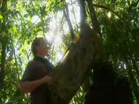 The Pemon Ray Mears Bushcraft S1E3 part 2