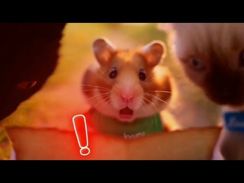 “어? 지도가 깨어났어!!!!!" 🗺️💫  — 모험의 시작 | 👉 EP.1 ✨