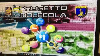 terra-dei-fuochi-nuovo-sequestrio-da-200-milioni-di-euro-ai-fratelli-pellini