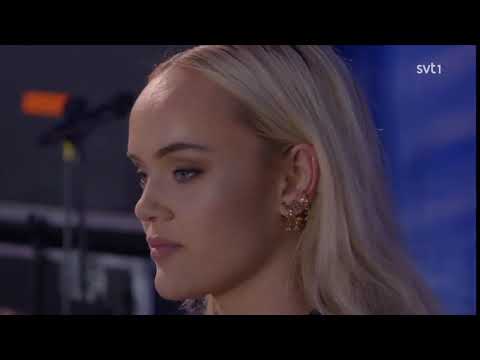 Moraeus Med Mera - Heavy Tiger – I Go For The Cheap Ones - Live