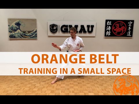 Shotokan Karate - 7th Kyu Orange - Training in a Small Space thumbnail