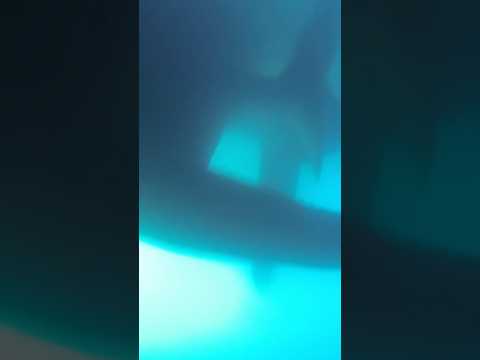 Submarine Passes Over Scuba Diver 😳                            Original:@jimryan4056