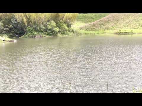 Laguna de cabiche Quipama Boyacá Colombia 