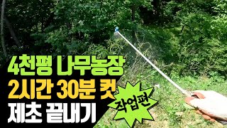 4천평 나무농장 2시간 30분 컷으로 제초 끝내기 - 시행편 | 나무대장