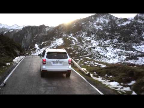 2014 Subaru Forester XT - Doing It All