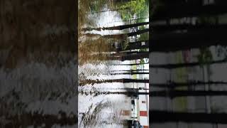 preview picture of video 'HURACAN FLORENCE EN NORTH CAROLINA,2018,  INUNDACION CERCA'
