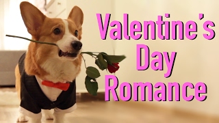 Topi's Valentine's Day