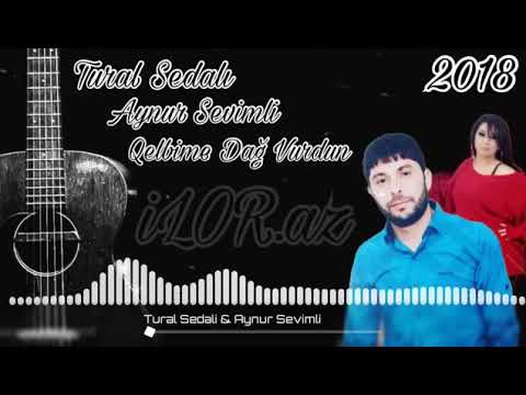 Aynur Sevimli Tural Sedalı Cetin günlerimde 2018