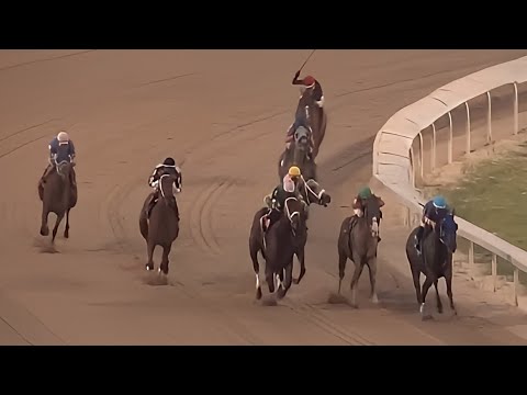 Fine cheap claiming  race - Evangeline Downs