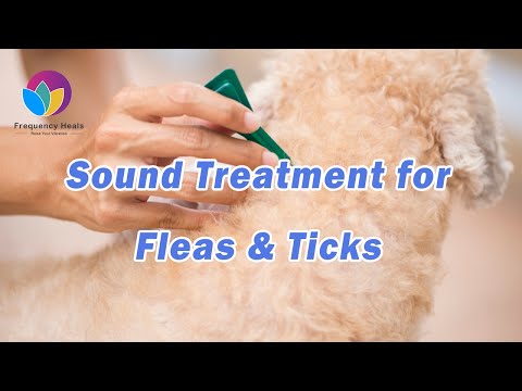 Sound Treatment for Fleas & Ticks | Healing Frequency | Remove Fleas and Ticks from Pets