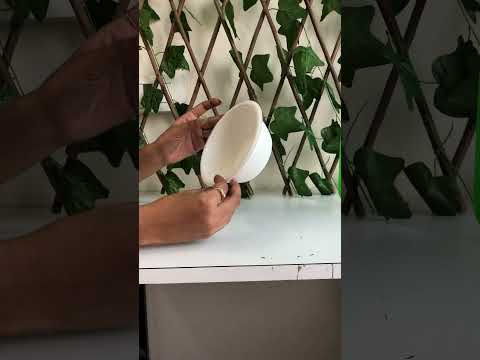 Ecosphere 16Oz Bowl 480ml Bagasse