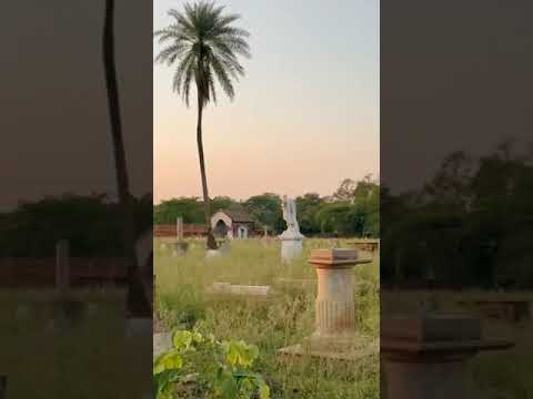 Kabristan Me Neel Gayen। Blue Bull in Christian Cemetery। Ambala Cantt । Neel Ganye।