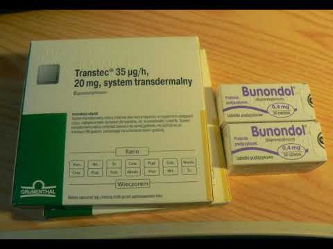 Młody Osa - epijp34enjf4