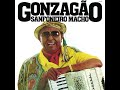 Forró N° 1( Com Gal Costa )