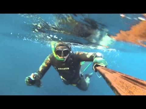 Mix metà settembre 2015 con dentex finale