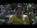 Evergreen Film Song Vishupakshi Chilachu Ilanjippookkal Malayalam Film Song
