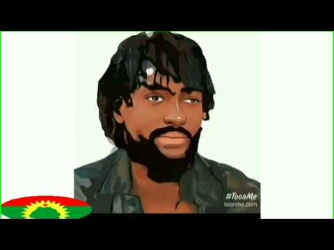 Namaf hin maratiin sirnaaf maradhu malee jecha  Jaal  Marroo!