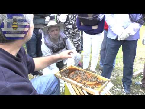 , title : 'Πρώτη επαφή με τις μέλισσες - Εκπαίδευση νέων μελισσοκόμων'