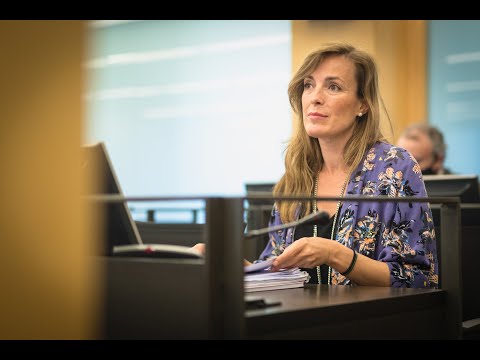 Intervención de Carmen Navarro durante la comparecencia de Cruz Fernandez Mariscal