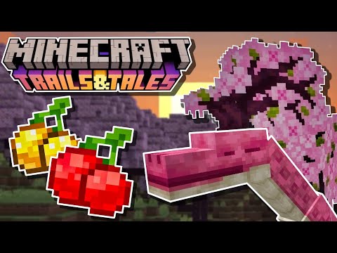 How To Make The Cherry Blossom Biome Better In Minecraft 1.20