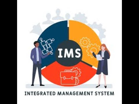 IMS Audit implementation consultant