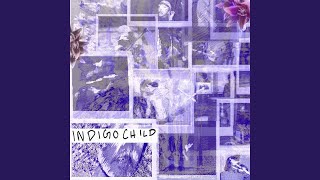 Cover art for Indigo Child