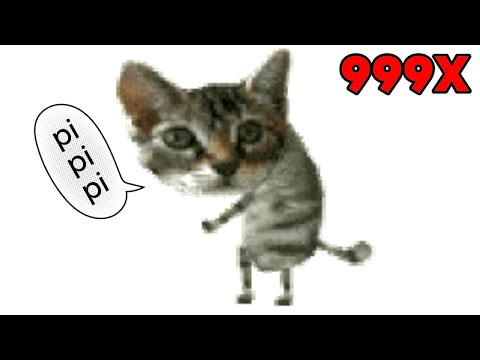 pipipi cat 999x