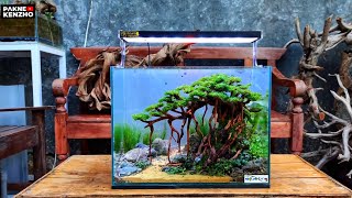 #308 Mini bonsai Aquascape non injeksi co2