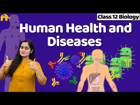 Human Health and Diseases Class 12 | Biology NCERT Chapter 7  One Shot | CBSE NEET