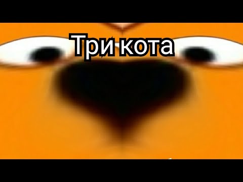 Ритп три кота. Ритп#1