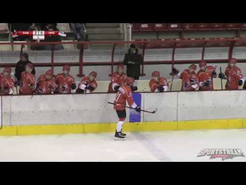 MOL216 Dunaújvárosi Acélbikák - HK Beograd   8:3 (4:0, 3:0, 1:3) 2017.02.04