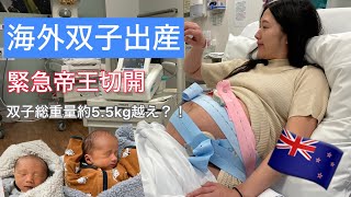 【出産レポ】双子 海外出産 出産費用0円？！の入院生活の様子