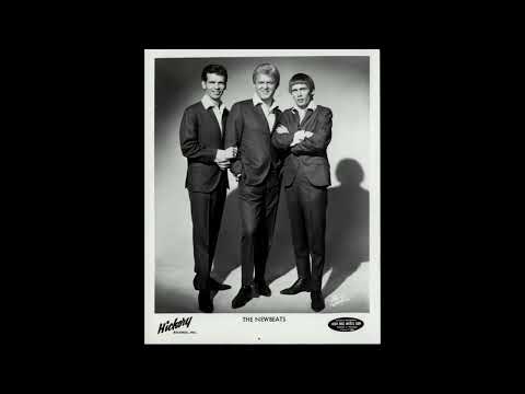 The Newbeats Groovin out on Life