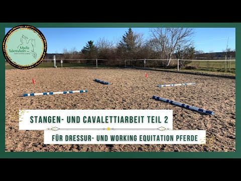 Stangen- und Cavalettiarbeit für Dressur- und Working Equitation Pferde Teil 2