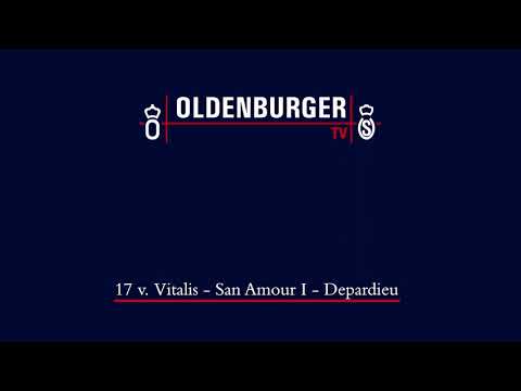 OL prämiertes Stutfohlen Vitalis x San Amour x Depardieu