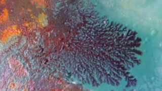 "Gossamer" original abstract painting by Sally Trace